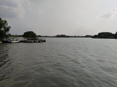 -溱湖国家湿地公园