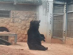 -昆明动物园