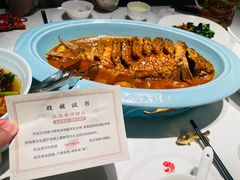 -阿五黄河大鲤鱼(纬三路店)