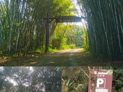 -海南热带野生动植物园