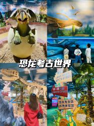 -卡森乐园