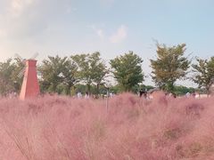 -鹅湖玫瑰文化园
