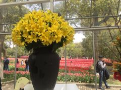 -上海鲜花港