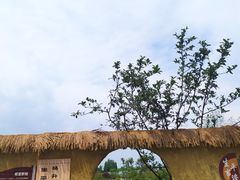 -夏河溪乡野公园