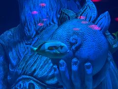 -沈阳海洋探索中心