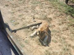 -大连森林动物园