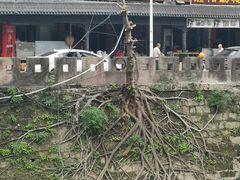 -鲍六孃甜皮鸭