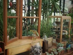 -北马山庄植趣咖啡