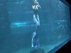 -北戴河圣蓝海洋公园