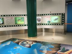 -上海昆虫博物馆