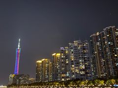 -珠江夜游广州塔·中大码头