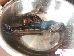 -渔洲情海鲜酒家