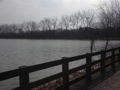 -溱湖国家湿地公园