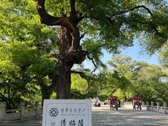 -北陵公园