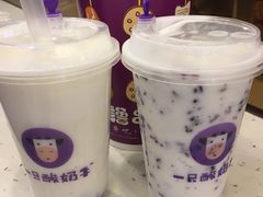 -一只酸奶牛(八一路店)