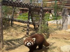 -泉城欧乐堡梦幻世界