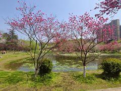 -堤角公园