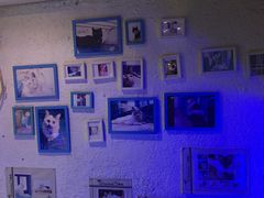 -Sirena海妖日咖夜酒