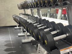 -健身专家Wellness Experts