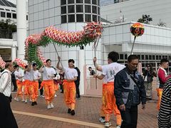 -九龙公园