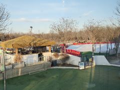 -爪吧宠物乐园 (温榆河示范区店)