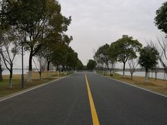 -漕湖湿地公园