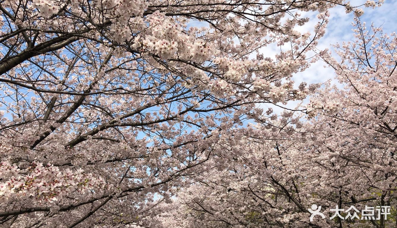 同济🌸