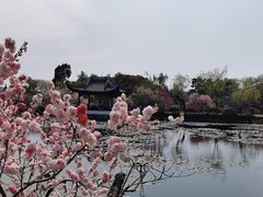 -无锡蠡湖国家湿地公园-蠡园
