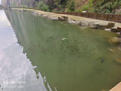 -苍山世界地质公园·石门关大峡谷