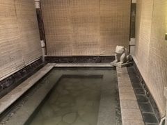-瑞阁温泉酒店温泉中心