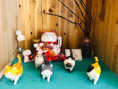 -猫在这儿猫咪咖啡馆·撸猫馆