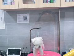 -宠福鑫康馨动物医院·骨科·眼科