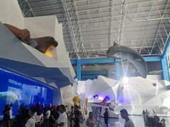-泉城欧乐堡海洋极地世界