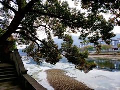 -溪口-滕头旅游景区