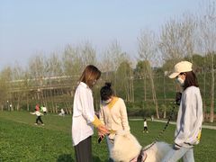 -洨河生态公园
