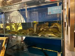 -上地宴·中关村的会客厅(清河高铁站店)