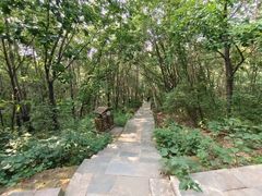 -白草畔自然风景区