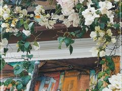 -深圳国际园林花卉博览园