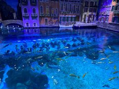 -华夏文旅海洋公园