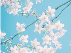 -迪欧咖啡·中西餐融合菜(平江万达旗舰店)