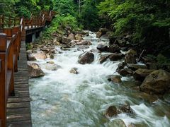 -九龙江国家森林公园