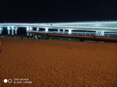 -演武大桥观景平台