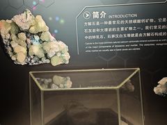 -中国杭州低碳科技馆