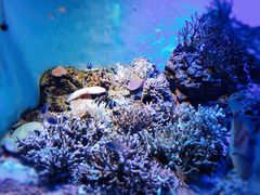 -鹿儿岛水族馆