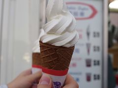 -富豪雪糕车流动点(尖沙咀店)