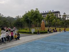 -中山市树木园
