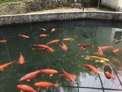 -梅溪牌坊