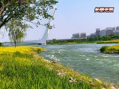 -永定河休闲森林公园