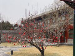 -北京颐和宾馆