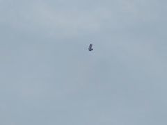 -杭州城北体育公园